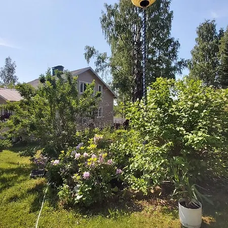 Ahomansikan Marja Ja Majoitus Rantasalmi