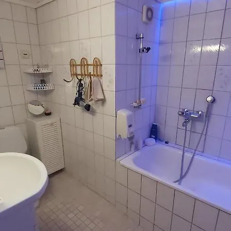 Ahomansikan Marja Ja Majoitus *
