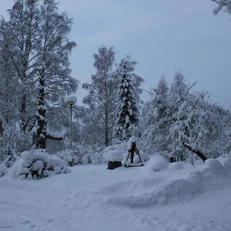 Homestay Ahomansikan Marja Ja Majoitus