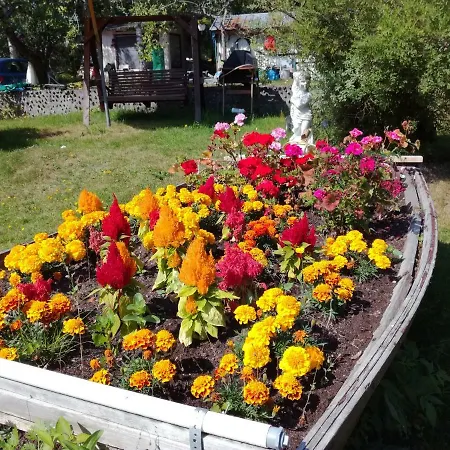Homestay Ahomansikan Marja Ja Majoitus *